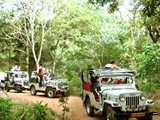 Jungle jeep Safari