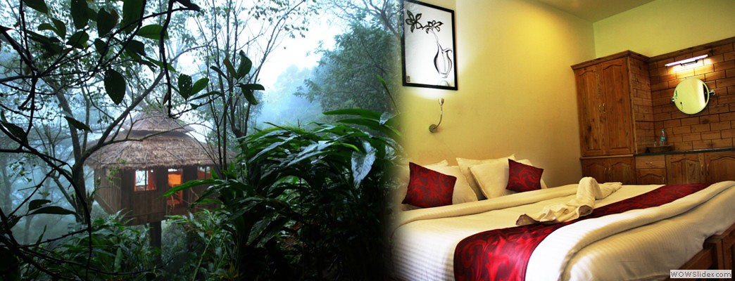 ACCOMMODATION-Hotels,Resorts & Tree House